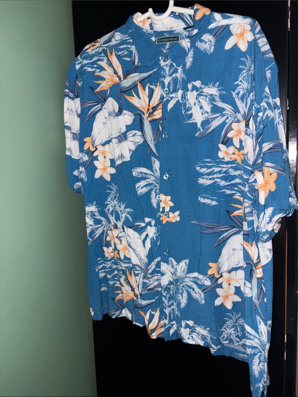 Cubavera Blue Floral & Palm Short-Sleeve Button-Down Shirt